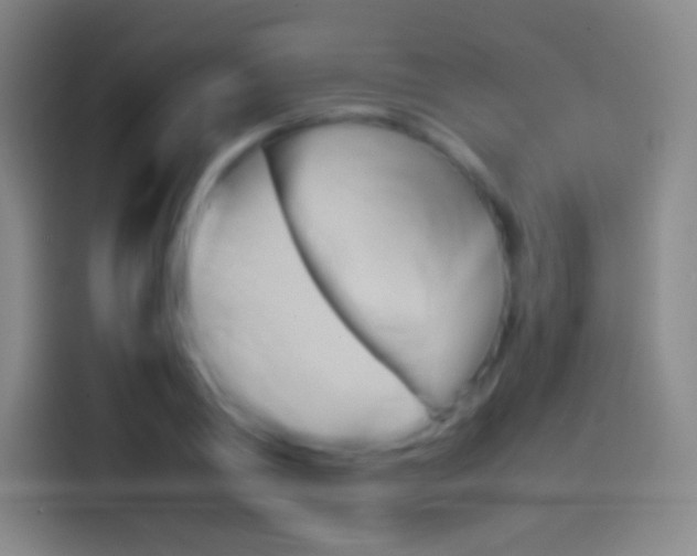 X0000114560790200910191010