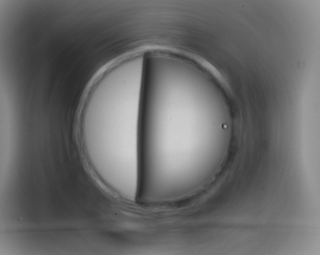 X0000114560791200910191010