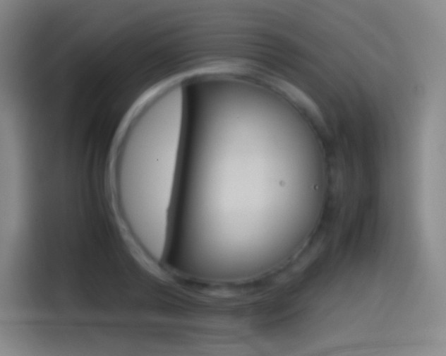 X0000114560792200910191010