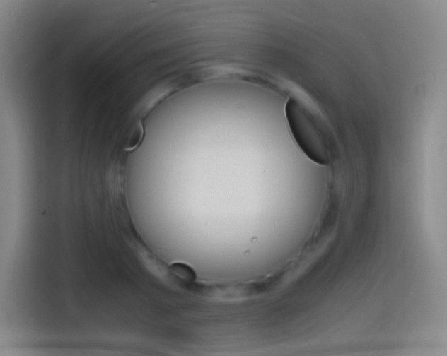 X0000114560793200910191010