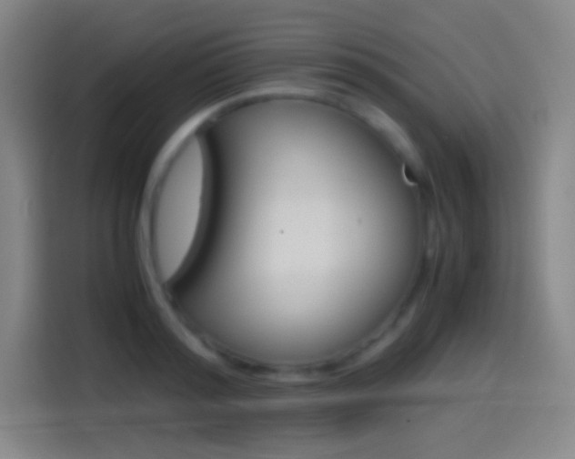 X0000114560796200910191010