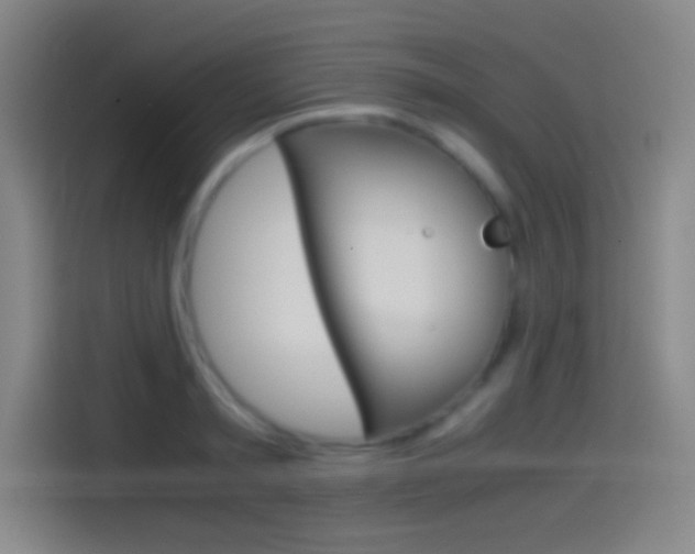 X0000114560797200910191010