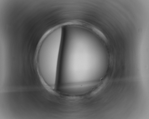 X0000114560800200910191010