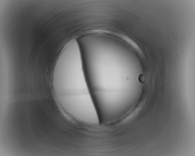 X0000114560801200910191010