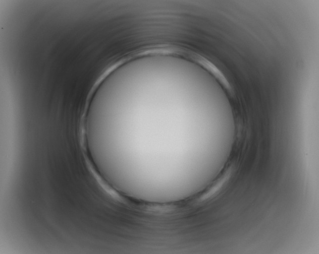 X0000114560802200910191010
