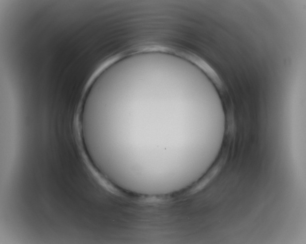 X0000114560806200910191010