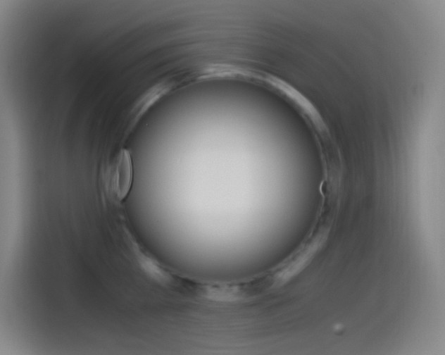 X0000114560809200910191010