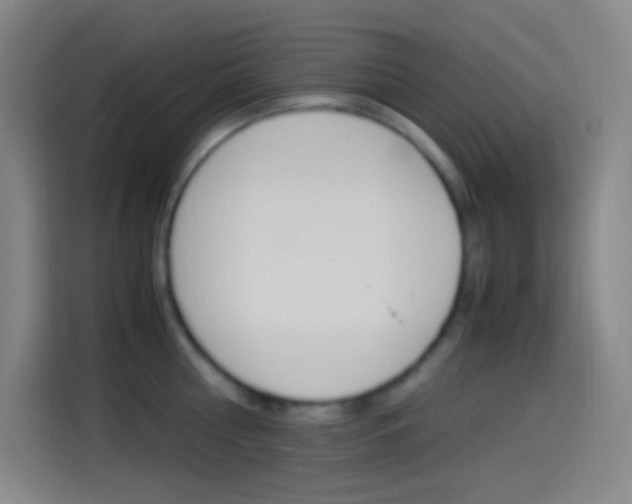 X0000114560810200910191010
