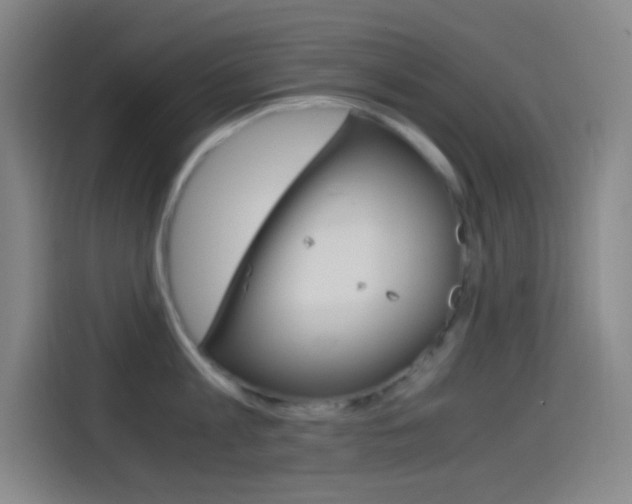 X0000114560813200910191010