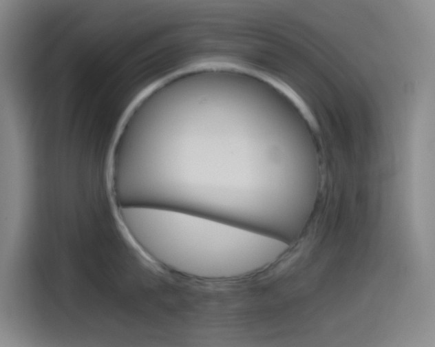 X0000114560815200910191010