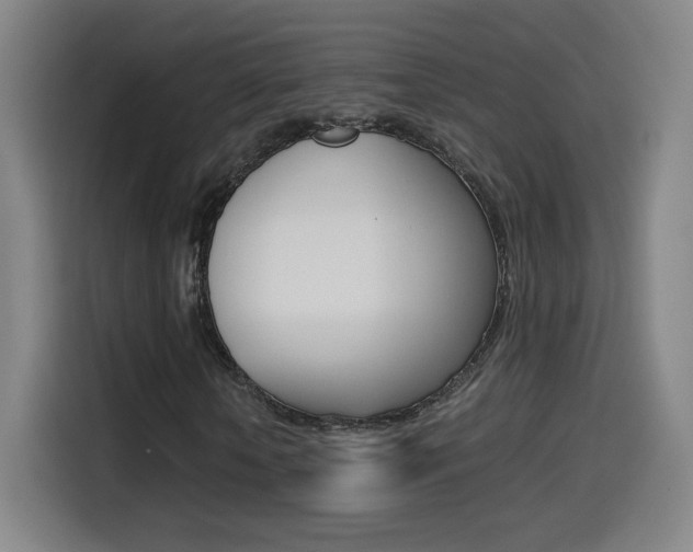 X0000114560818200910191009