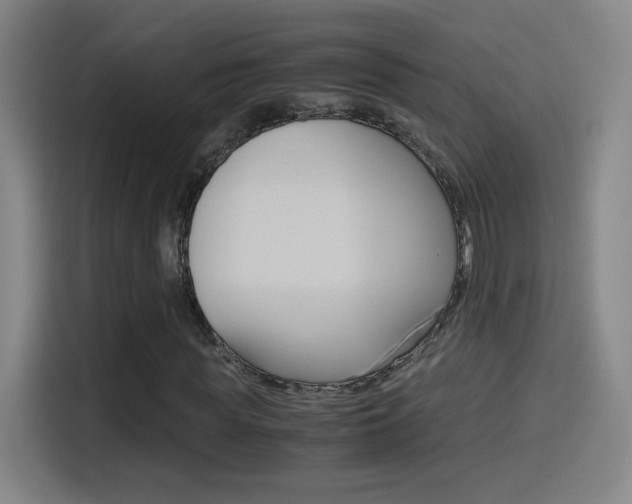 X0000114560819200910191009
