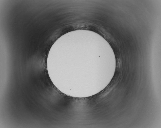 X0000114560820200910191009