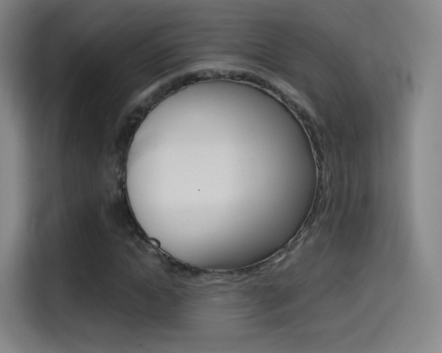 X0000114560822200910191009
