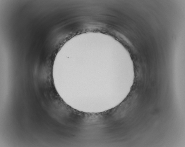 X0000114560824200910191009
