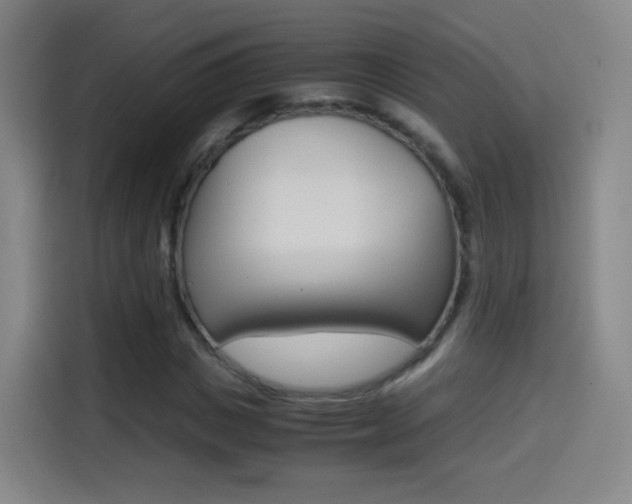 X0000114560825200910191009