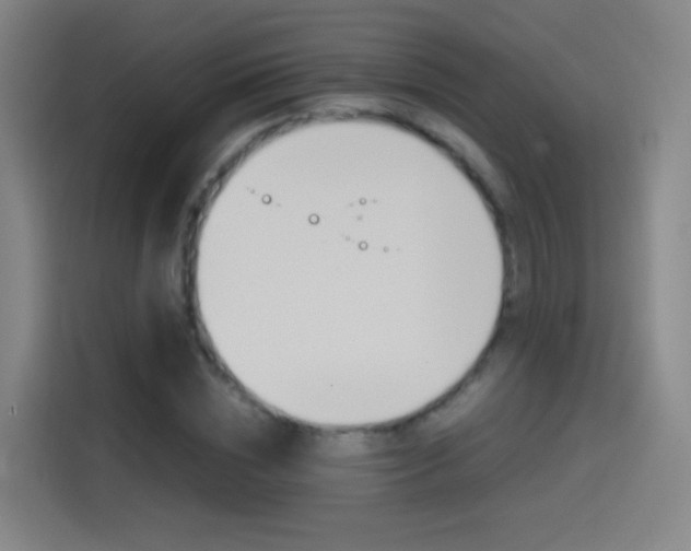 X0000114560828200910191009