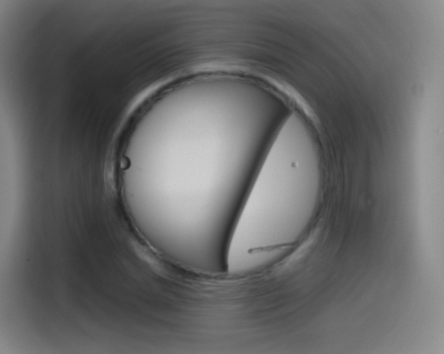 X0000114560830200910191009