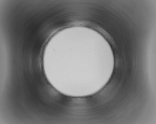 X0000114560836200910191010