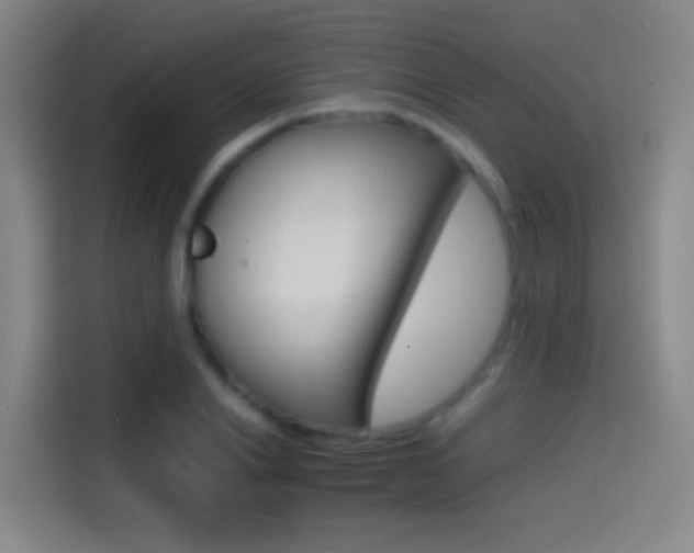 X0000114560838200910191010