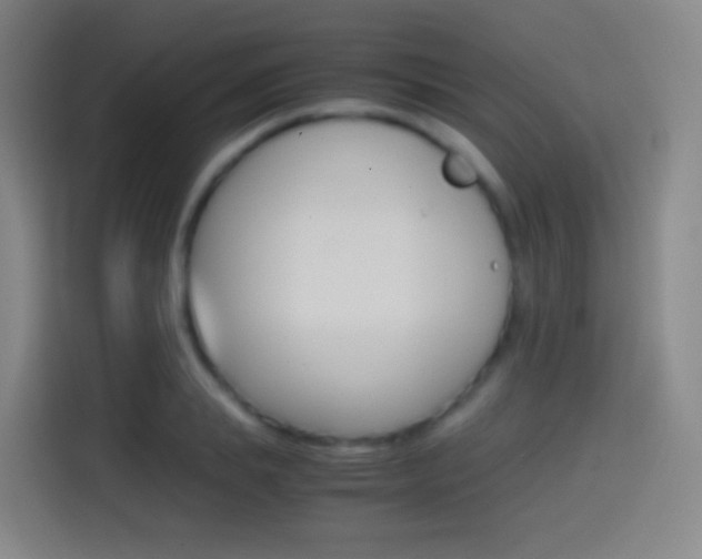 X0000114560839200910191010