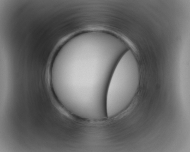 X0000114560840200910191010