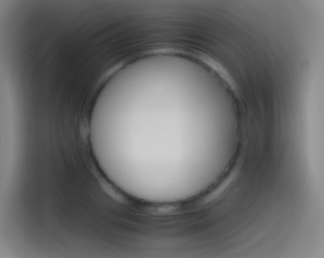 X0000114560841200910191010
