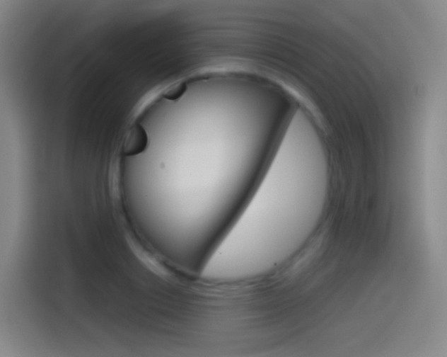 X0000114560842200910191010