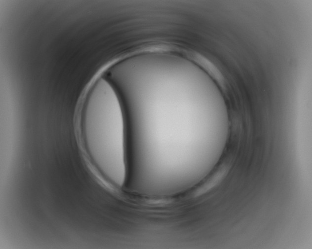 X0000114560843200910191010