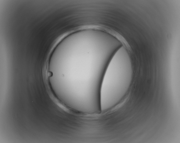 X0000114560844200910191010