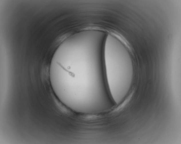X0000114560849200910191010