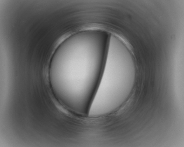 X0000114560850200910191010