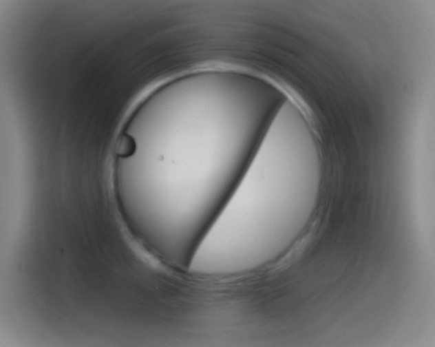 X0000114560854200910191010