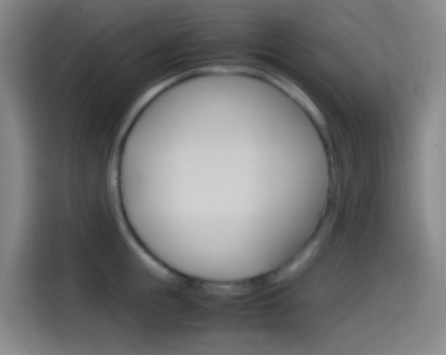 X0000114560855200910191010