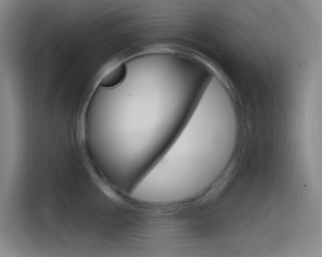 X0000114560858200910191010