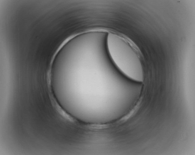 X0000114560860200910191010