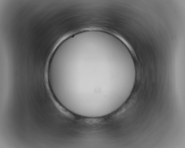 X0000114560861200910191010