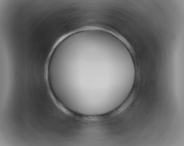 X0000114560862200910191010