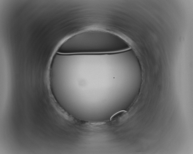 X0000114560864200910191010