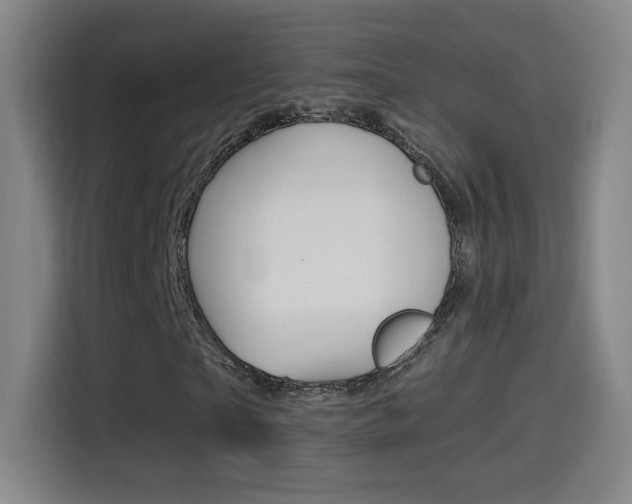 X0000114560865200910191009