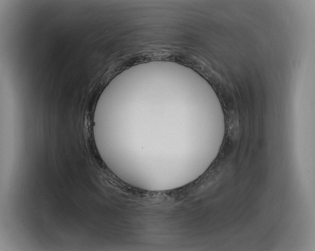 X0000114560866200910191009