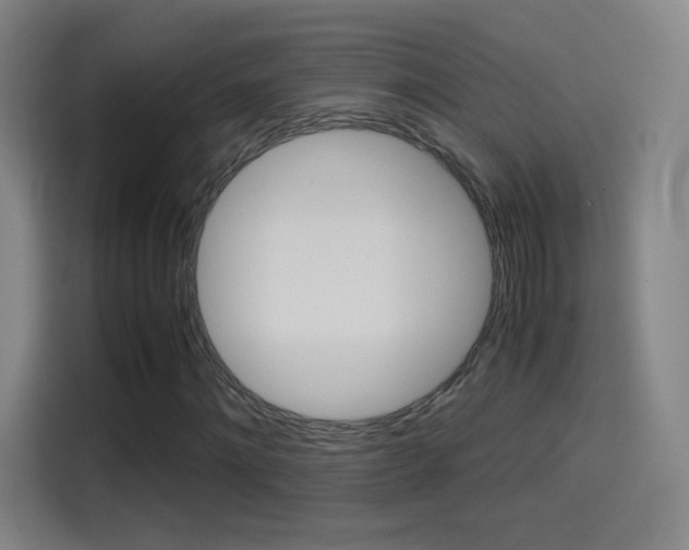 X0000114560868200910191009