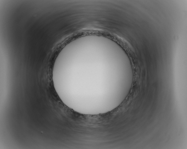 X0000114560870200910191009