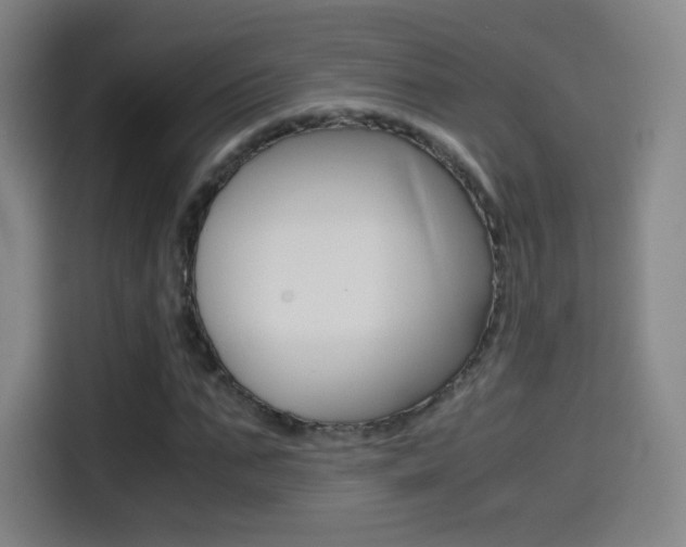 X0000114560871200910191009