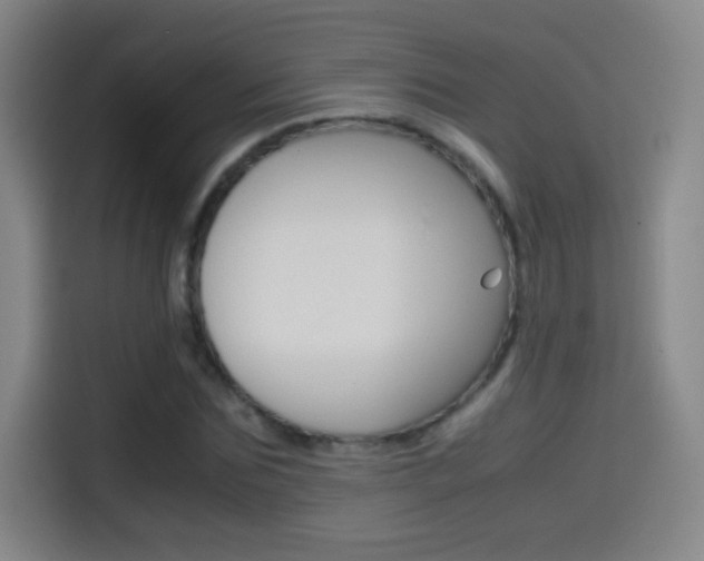 X0000114560875200910191009