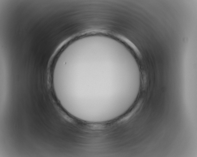 X0000114560878200910191009