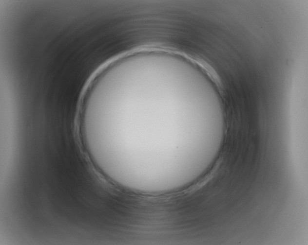 X0000114560880200910191009