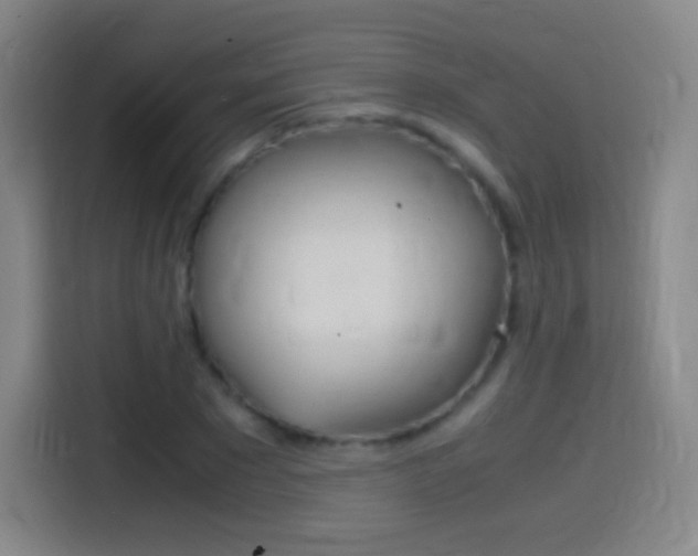 X0000114560881200910191009