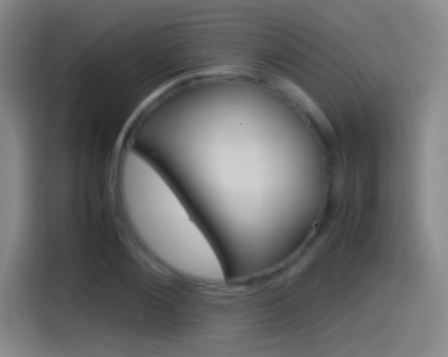 X0000114560884200910191009