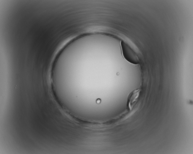 X0000114560885200910191009